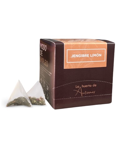 INFUSION PIRAMIDE JENGIBRE LIMON 10 UND