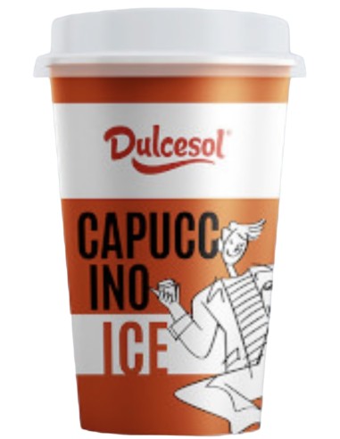 CAFE ICE DULCESOL CAPUCCINO 230 ML