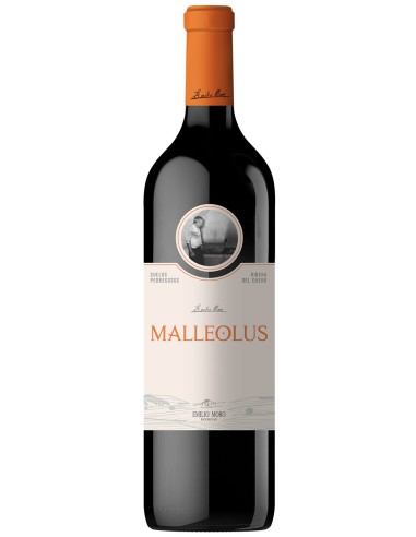 VINO R.DUERO MALLEOLUS 75 CL