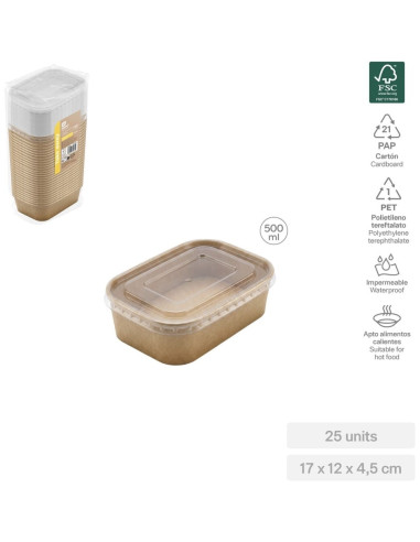 ENVASE RECTANGULAR CON TAPA 500 CC