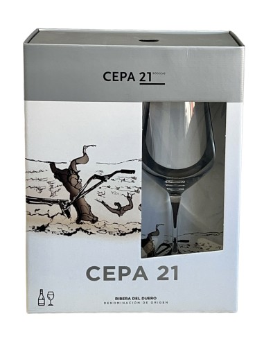 ESTUCHE VINO R.DUERO CEPA 21 + COPA